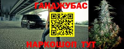 гидропоника Славгород